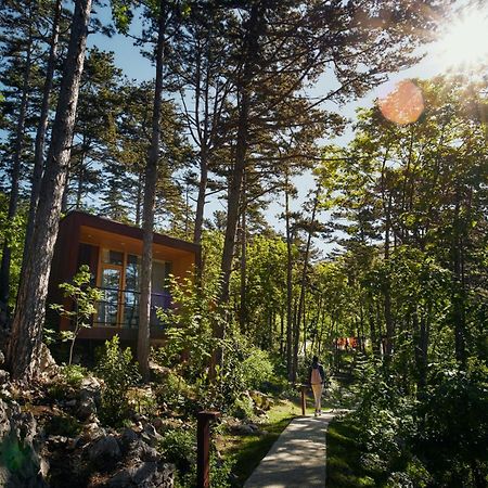 Theodosius Forest Village - Glamping In Vipava Valley Luaran gambar
